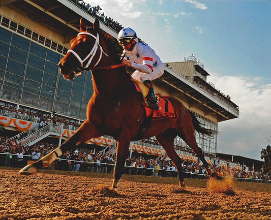 Big Brown Magnet Horse Racing Picture Jockey