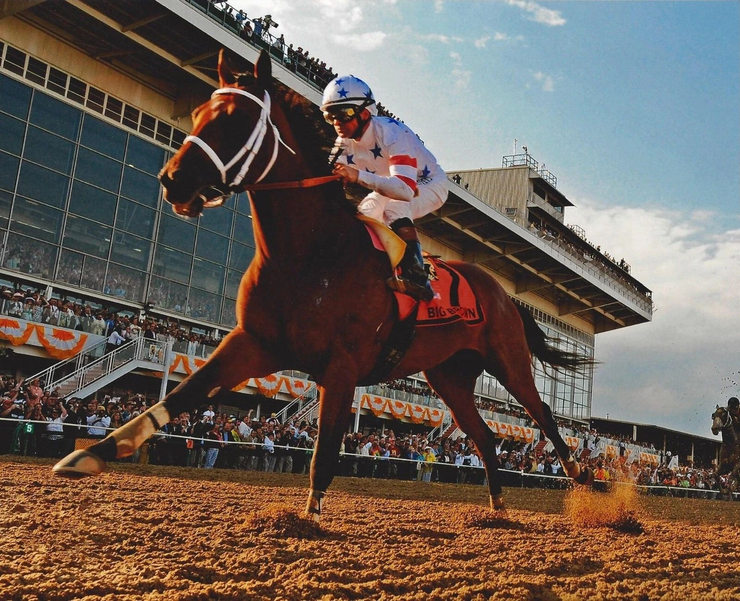 Big Brown Photo Horse Racing Picture Jockey