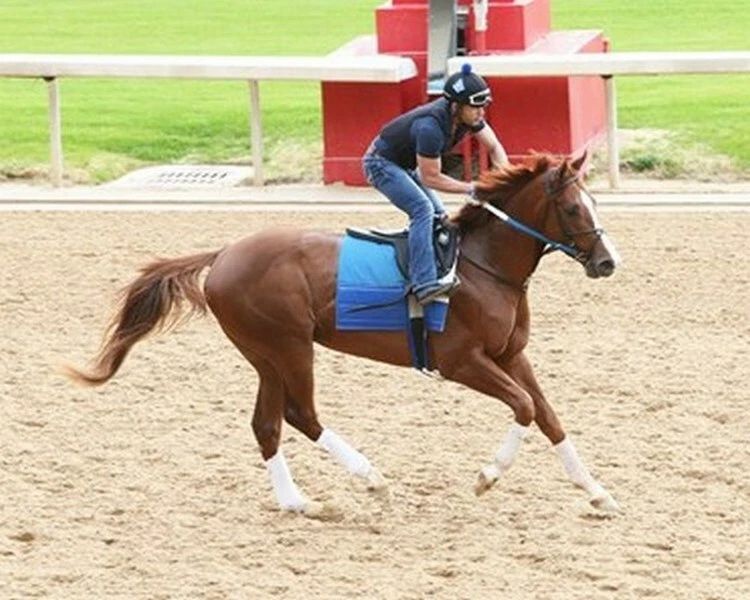 Big Lake Magnet Horse Racing Picture