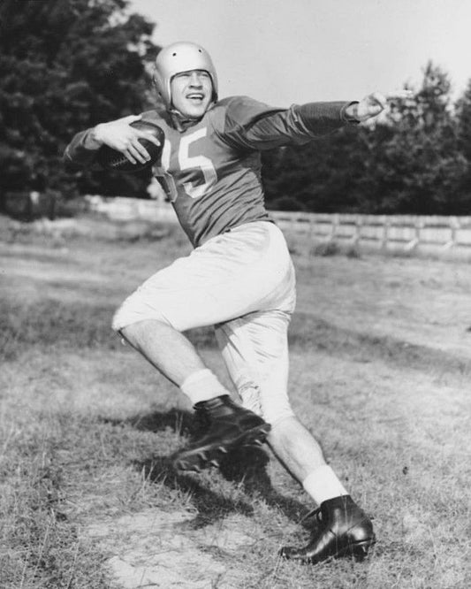 Bill Dudley Magnet Detroit Lions Picture Nfl Football