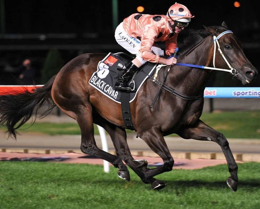 Black Caviar Keychain Horse Racing Picture Jockey