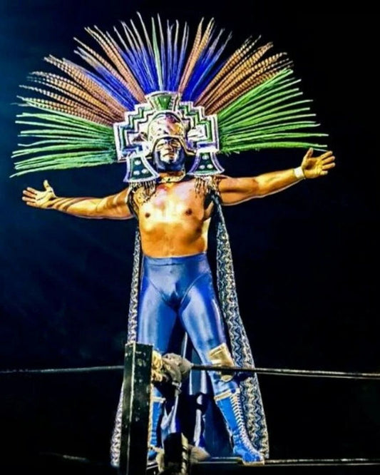 Blue Demon Jr Magnet Wrestling Picture Mexican Wrestler On Ropes