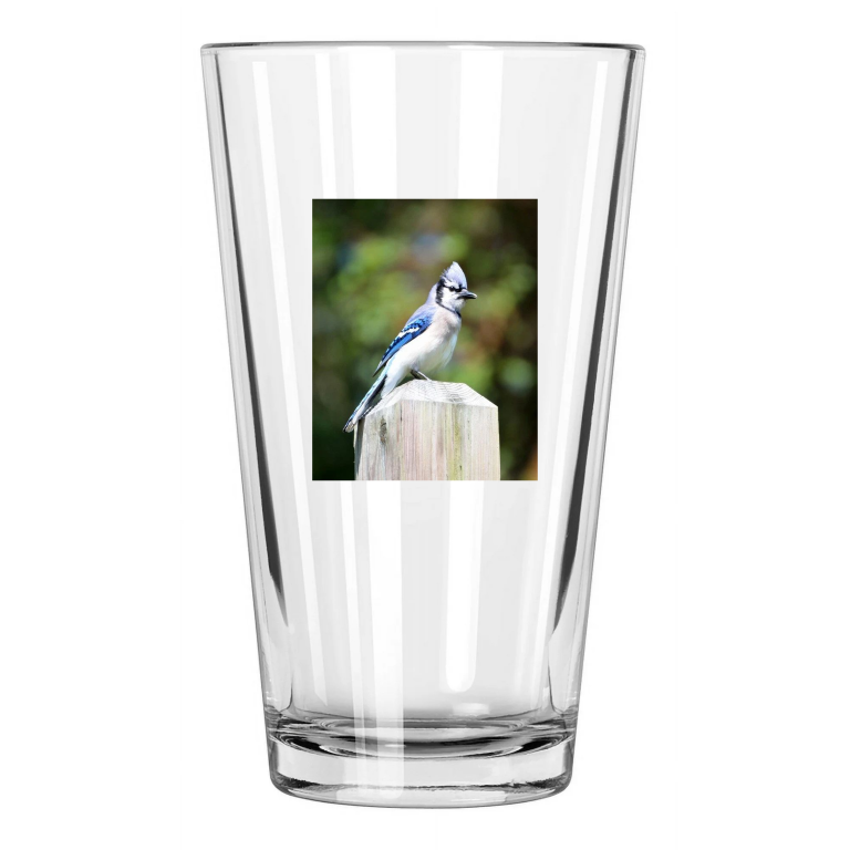 Blue Jay Photo Animal Winter Wildlife Bird Canada 4 Pint Beer Drinking Glass