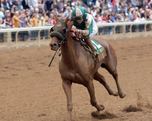 Blue Prize Magnet Horse Racing Picture Jockey
