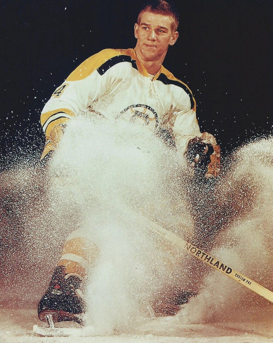 Bobby Orr Magnet Boston Bruins Nhl Picture Ice Spray Hockey