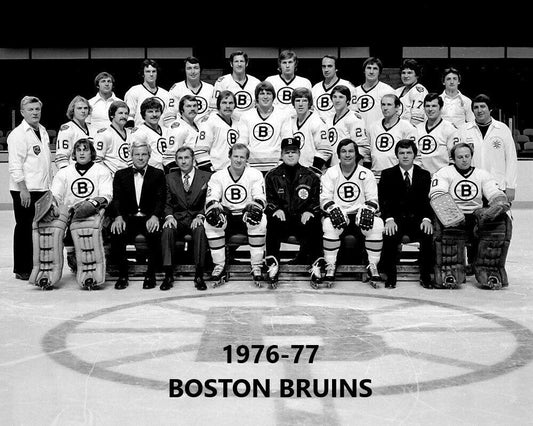 Boston Bruins 1976 77 Team Photo Hockey Picture Nhl