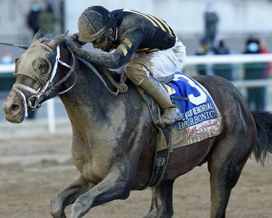 Bourbonic Magnet Horse Racing Picture Muddy Action