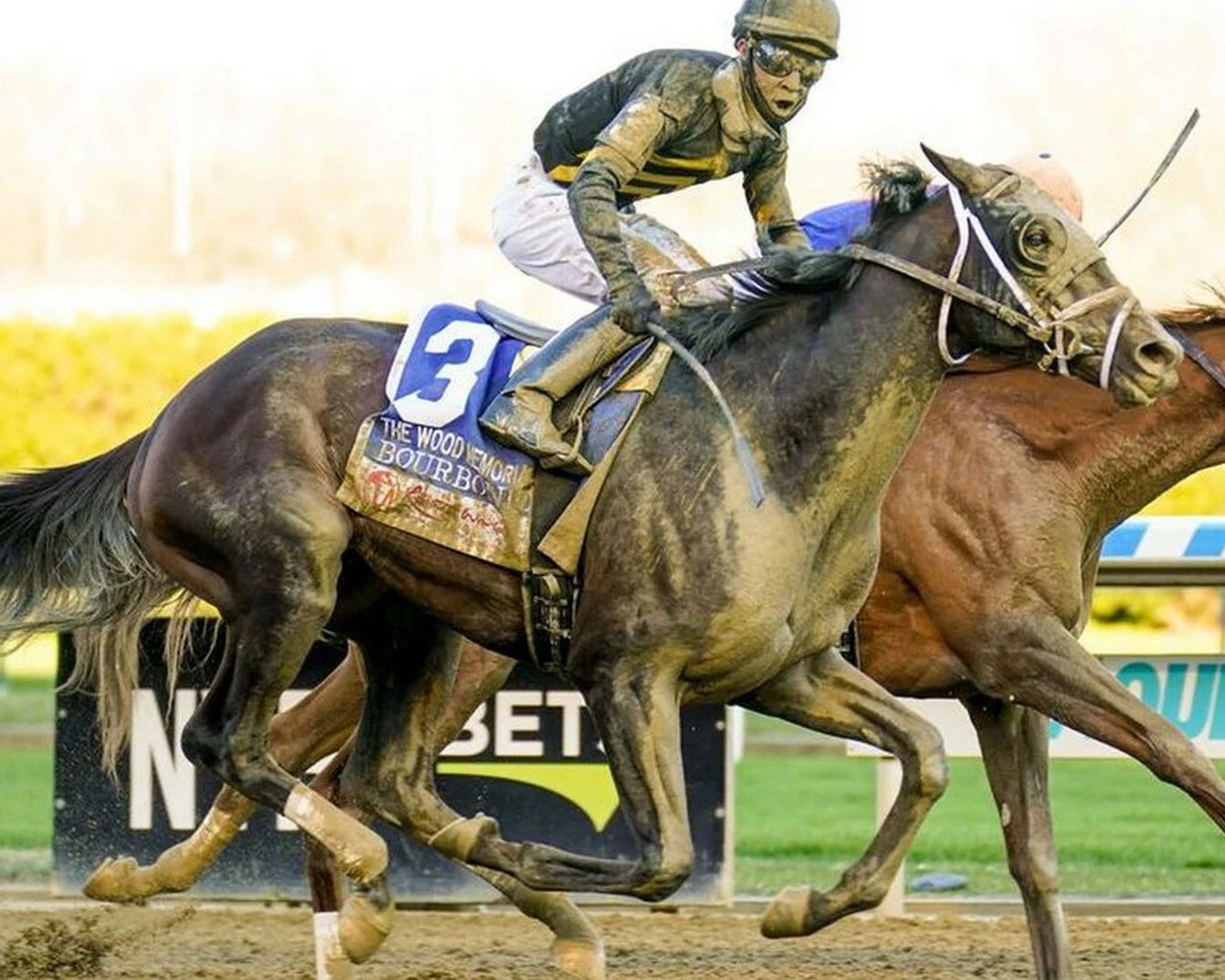 Bourbonic Magnet Horse Racing Picture Muddy