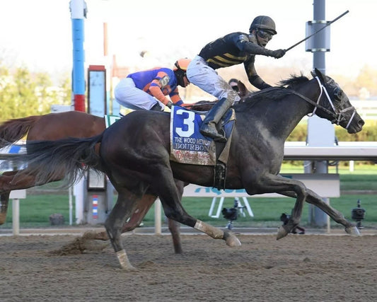 Bourbonic Magnet Horse Racing Picture Race Action