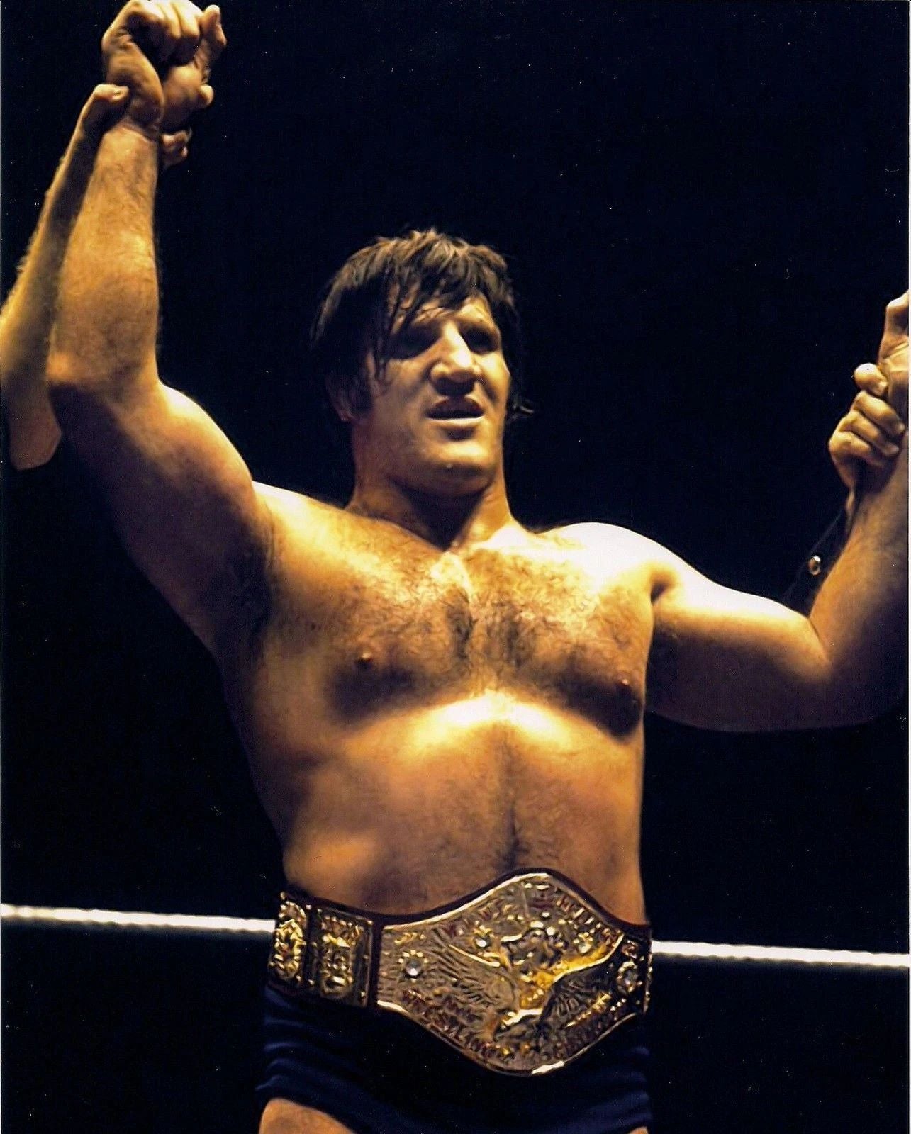 Bruno Sammartino Magnet Wrestling Picture Wwf With Belt