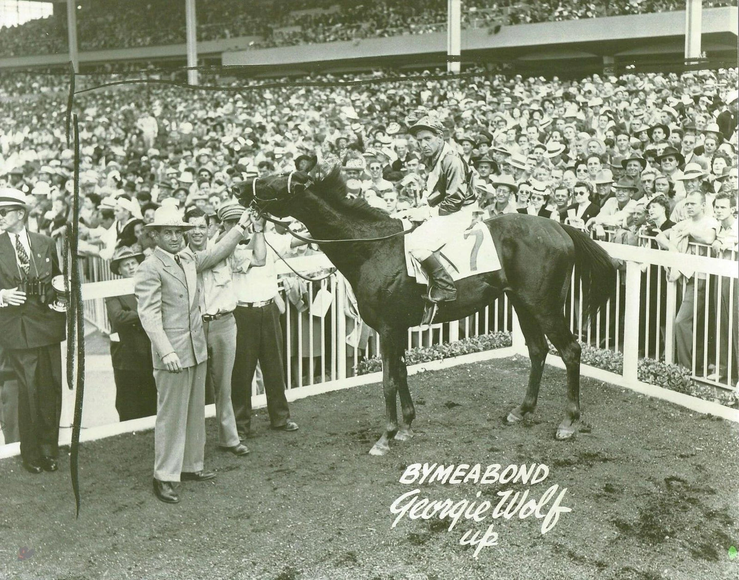 Bymeabond Photo Horse Racing Jockey Georgie Woolf 300 Piece Jigsaw Puzzle