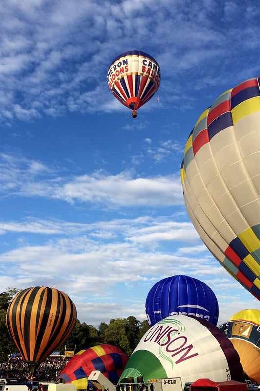 Ballooning Sports Landscape Painting Print Jigsaw Puzzle