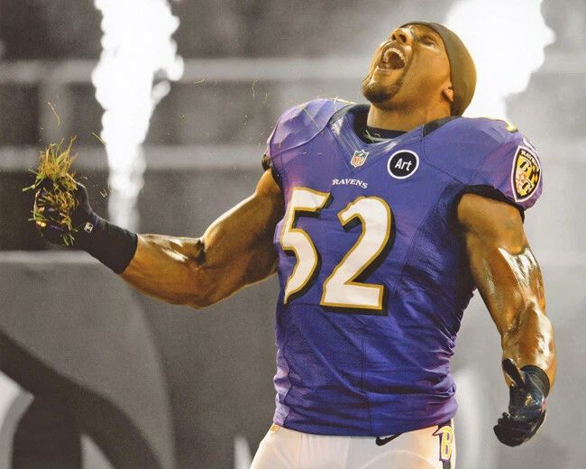 Baltimore Ravens Ray Lewis Photo Nfl Football Print Poster