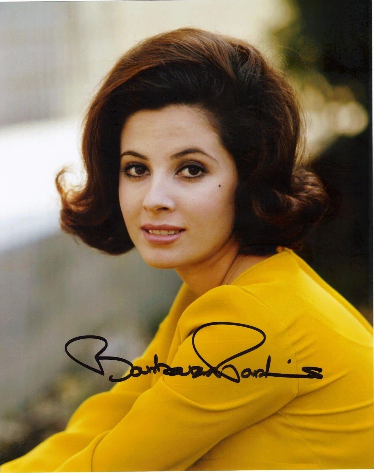 Barbara Parkins Facsimile Autograph Picture Poster Photo Reprint
