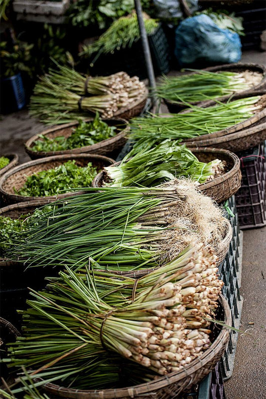 Basket Of Herbs And Salad Produce In Kitchen Garden Jigsaw Puzzle