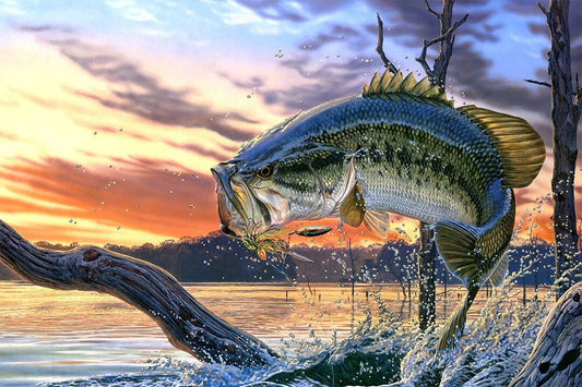 Bass Fishing Lake Sunset Submarine Creatures Jigsaw Puzzle