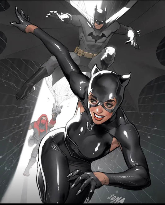 Batman Catwoman Action Scene Print Poster