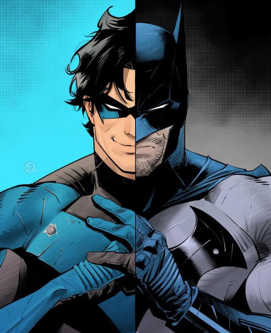 Batman Nightwing Split Portrait Print Poster