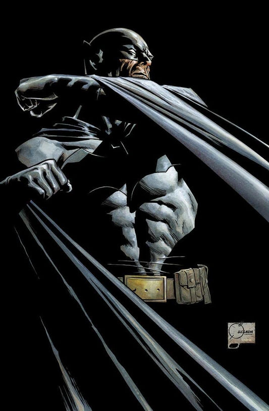 Batman Pulled Cape Portrait Print Poster