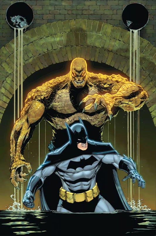 Batman Vs Swamp Thing Confrontation Print Poster