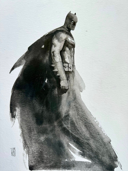 Batman 9627 Print Poster