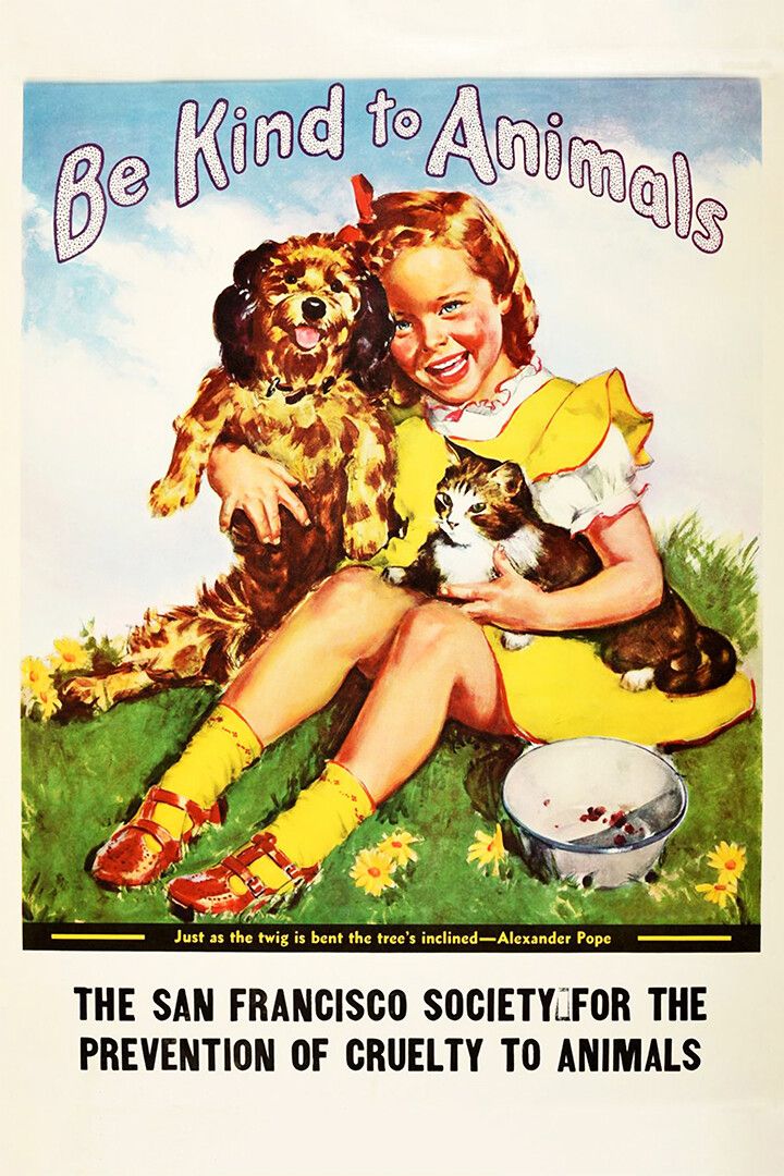 Be Kind To Animals Vintage Animation Comedy Jigsaw Puzzle