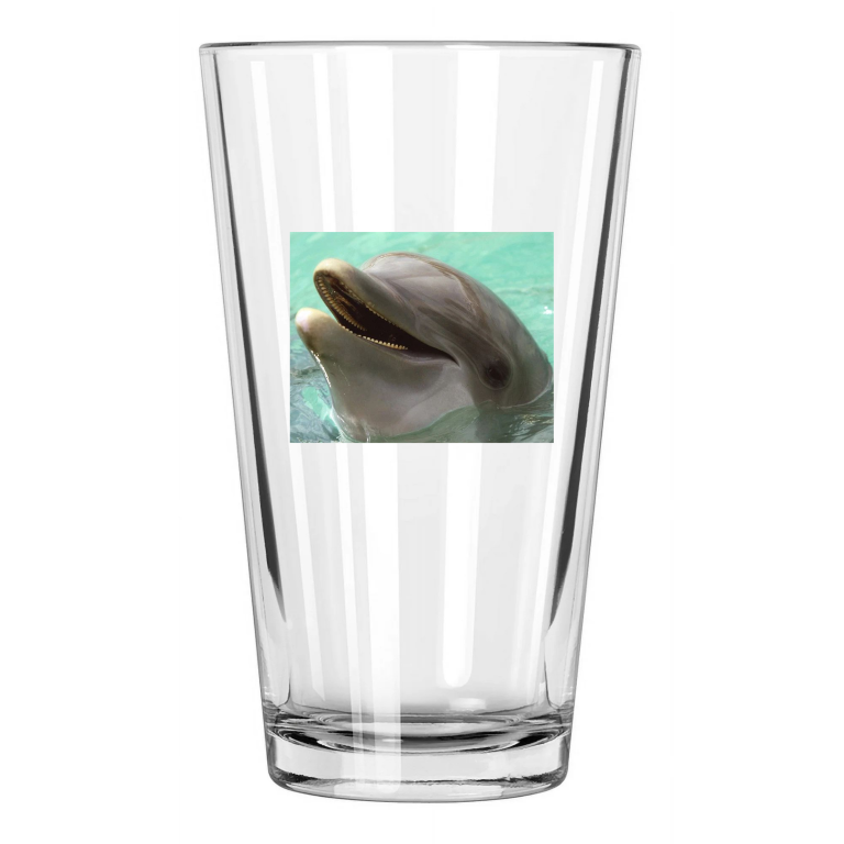 Beatiful Dolphin Photo Ocean Wall Art Mammals Pint Beer Drinking Glass