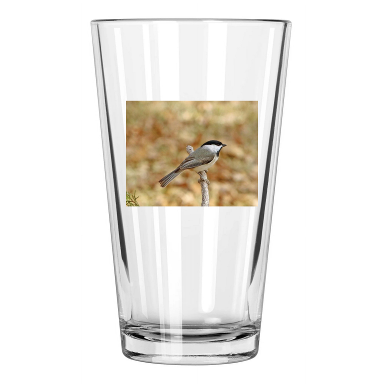 Beautiful Black Capped Chickadee Photo Wildlife Bird 1 Pint Beer Drinking Glass