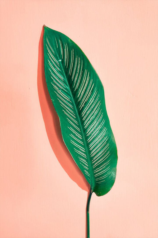 Beautiful Green Houseplant Leaf Art Wall Decor Jigsaw Puzzle