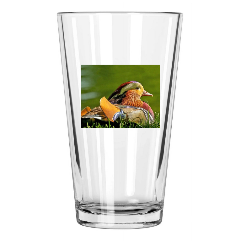 Beautiful Mandarin Duck Photo Bird Nature Wildlife 2 Pint Beer Drinking Glass