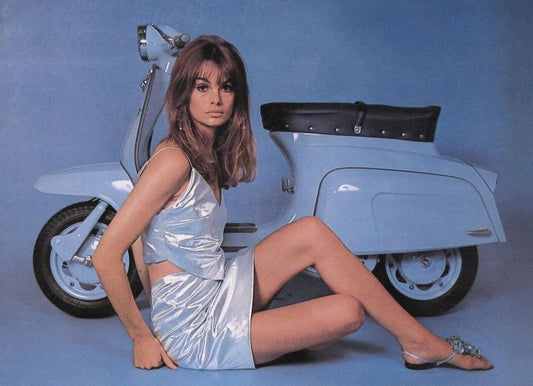 Beautiful Model Actress Jean Shrimpton Portrait Picture Magnet Print 5 X 7