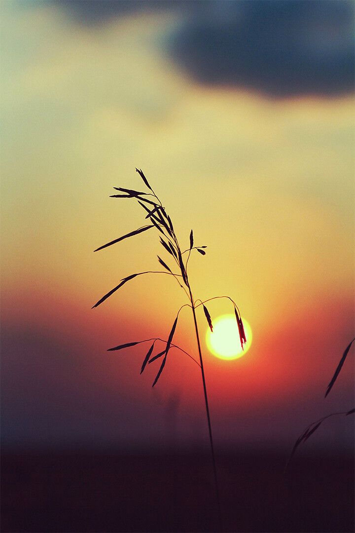 Beautiful Sunsets And Sunrises View Print Jigsaw Puzzle