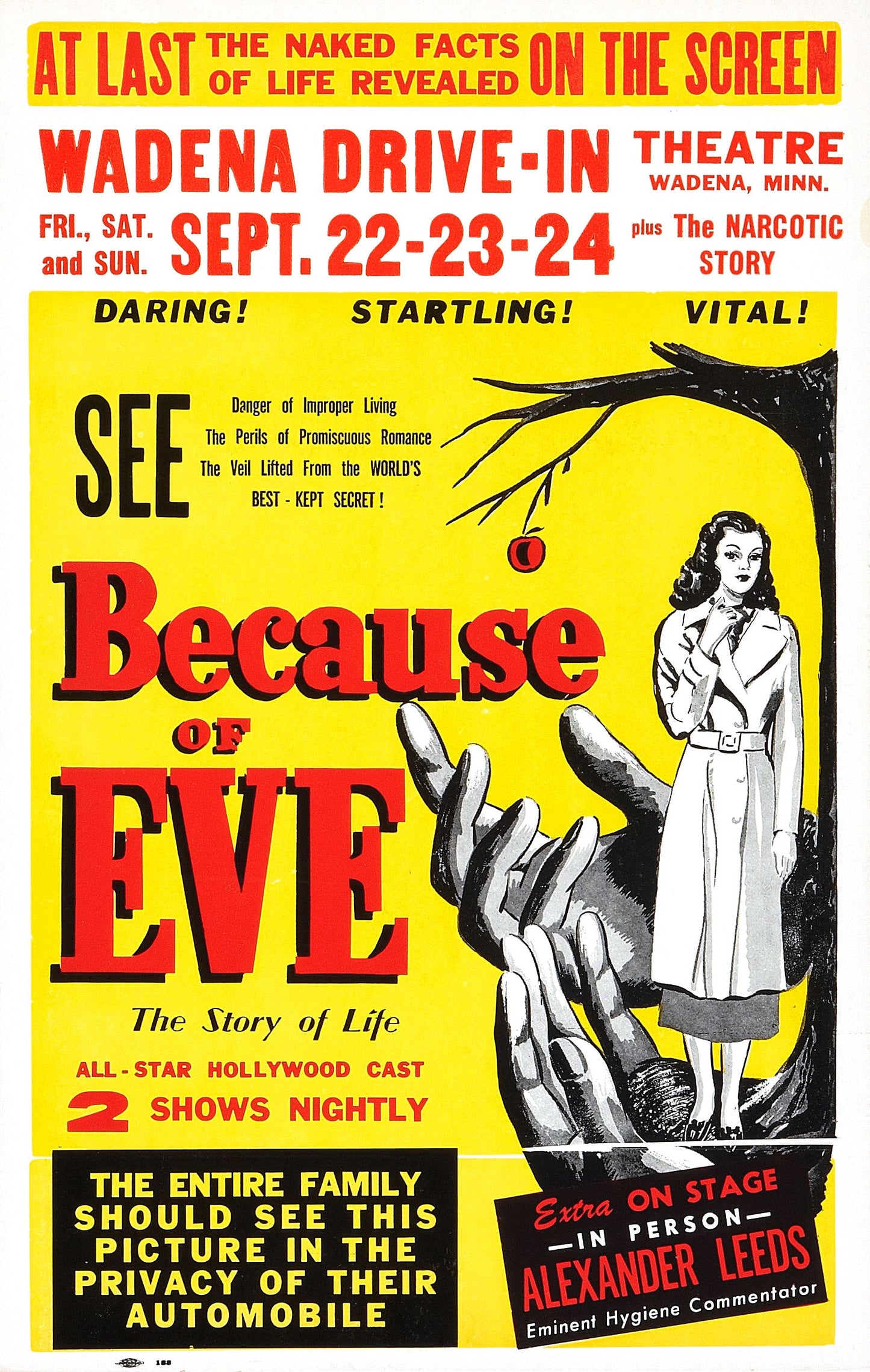 Because Of Eve 01 Movie Magnet