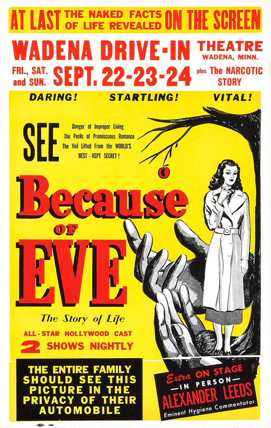 Because Of Eve 01 Movie Magnet
