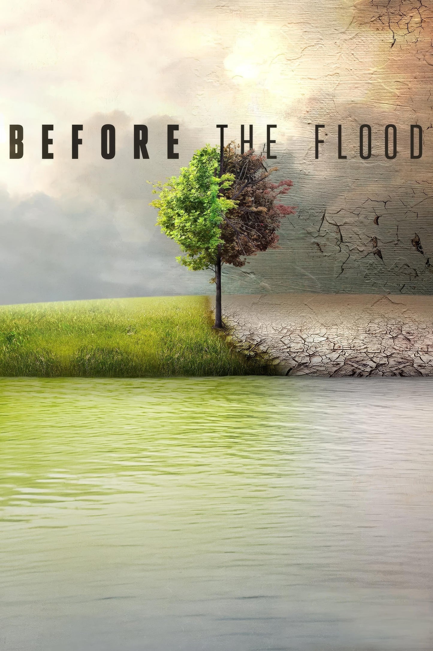Before The Flood (2016) Movie Magnet