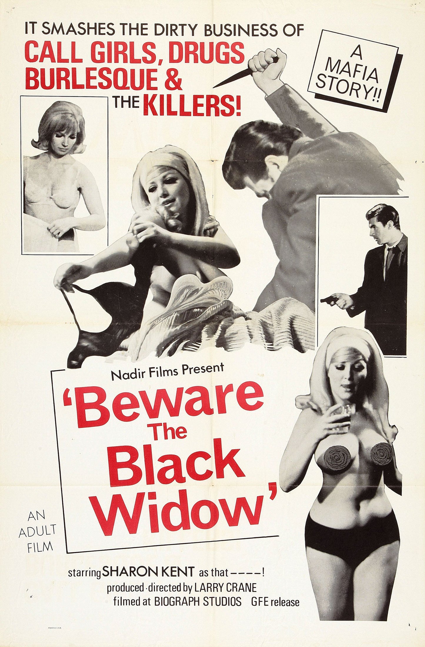 Beware Black Widow 01 Movie Magnet