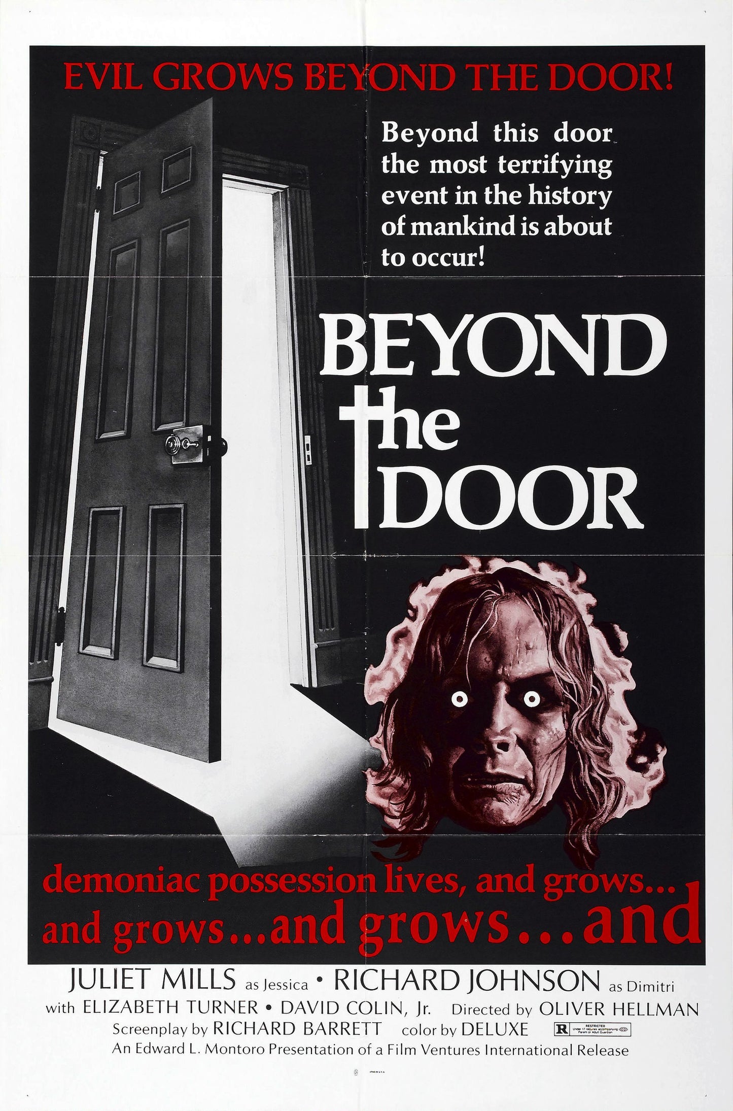 Beyond The Door 01 Movie Magnet