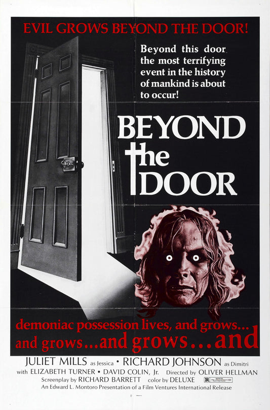 Beyond The Door 01 Movie Magnet