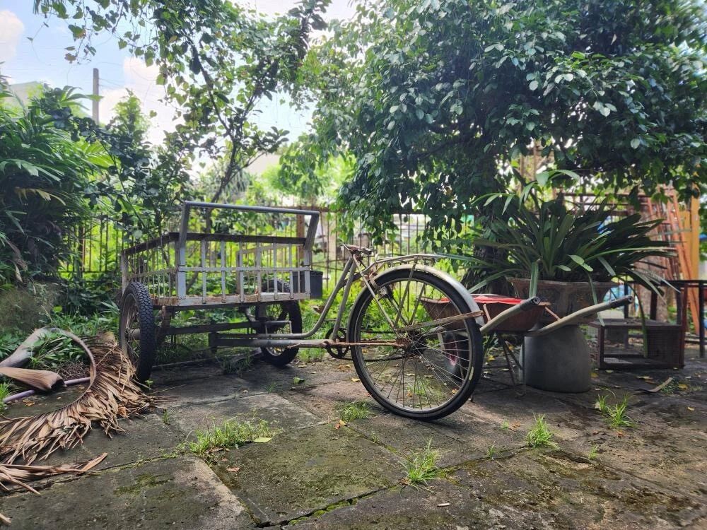 Bicycle Wagon In Nature Bien Hoa Vietnam Picture Magnet
