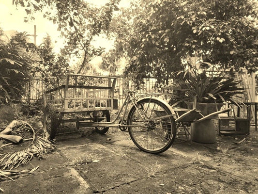 Bicycle Wagon In Nature Bien Hoa Vietnam Retro Bike Picture Keychain