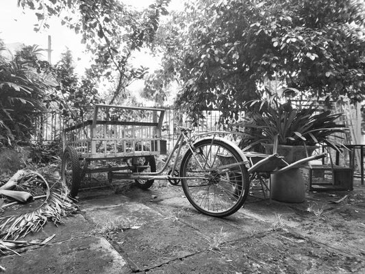 Bicycle Wagon In Nature Bien Hoa Vietnam Vintage Bike Picture Magnet