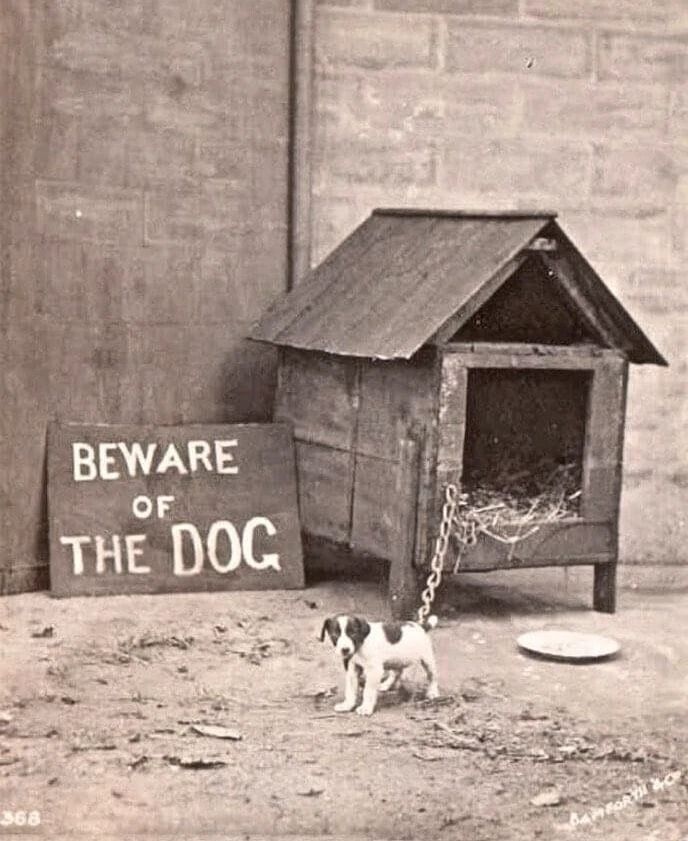 Big Scary Dog Chained Up Next To House & Beware Sign Retro Picture Photo