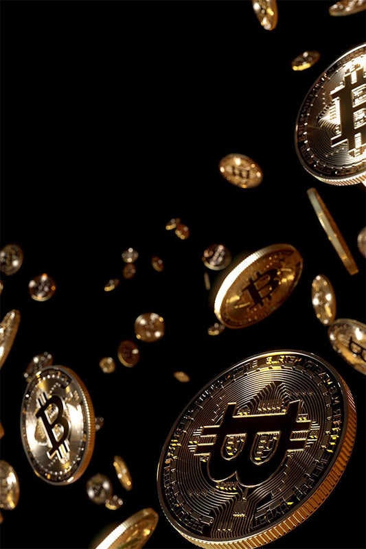 Bit Coin Digital Independent Money Print Canvas Jigsaw Puzzle