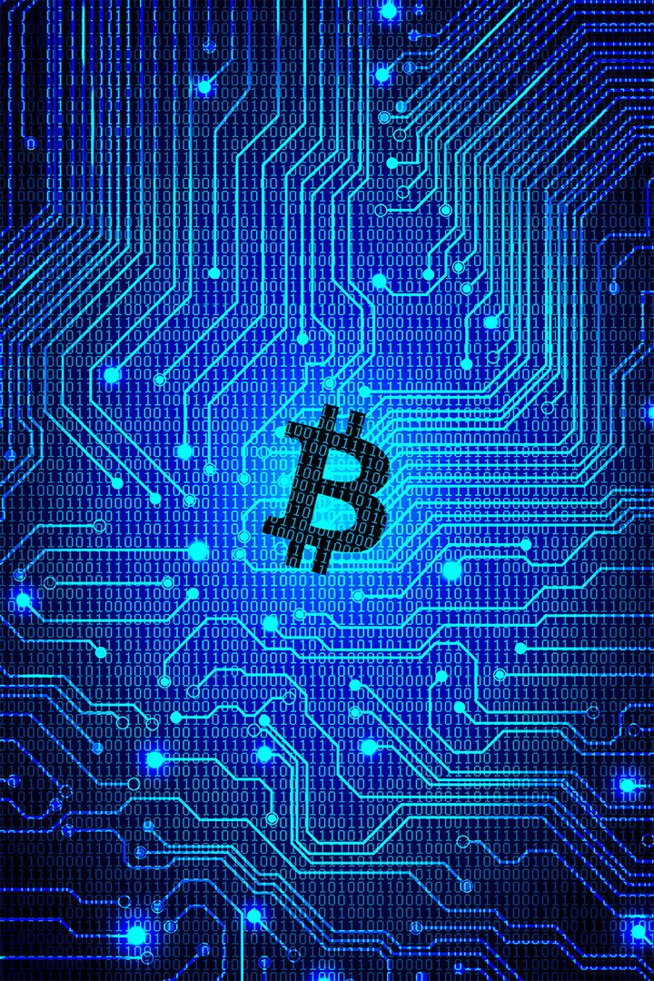 Bit Coin Digital Money Independent Print Jigsaw Puzzle