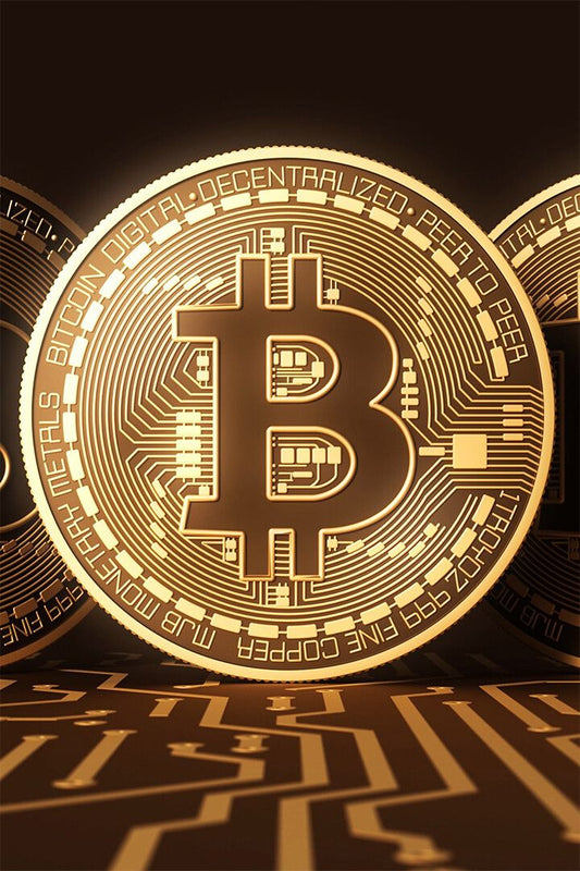 Bit Coin Economy Virtual Currency Print Jigsaw Puzzle