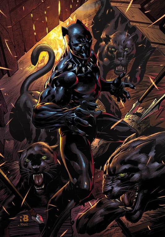 Black Panther Action Scene Print Poster