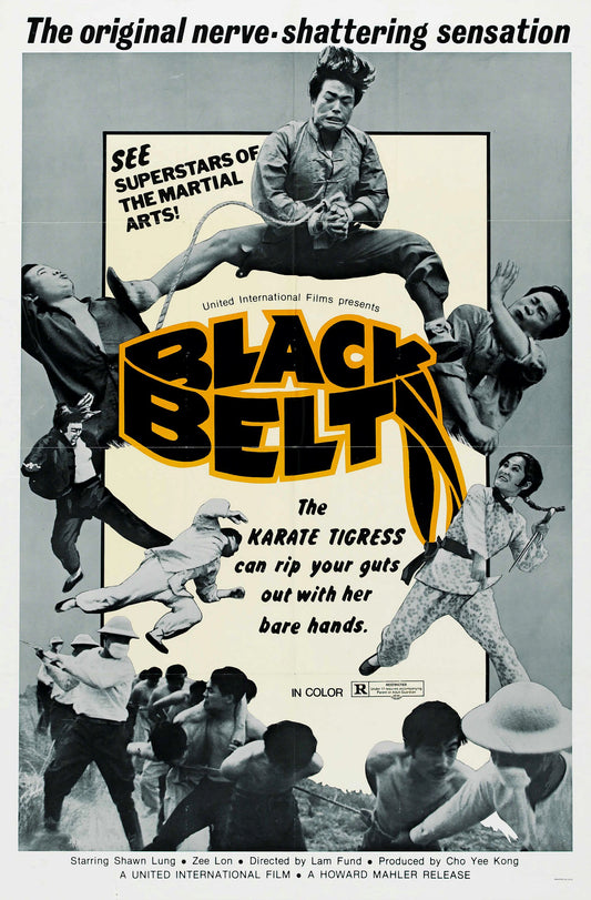 Black Belt 01 Movie Magnet