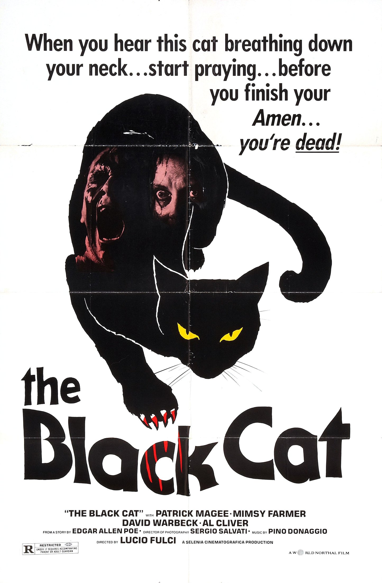 Black Cat 1981 01 Movie Magnet