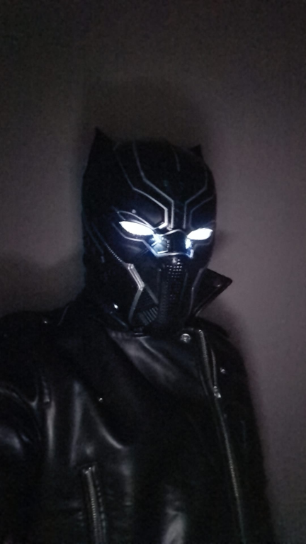 Black Panther 4389 Print Poster