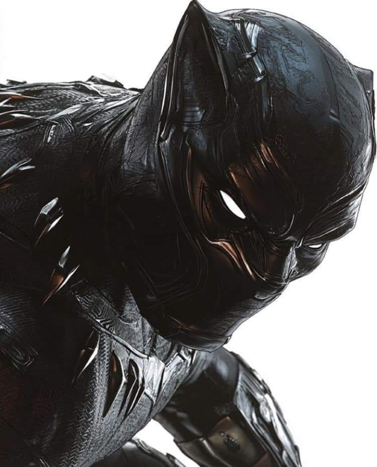 Black Panther 873 Print Poster